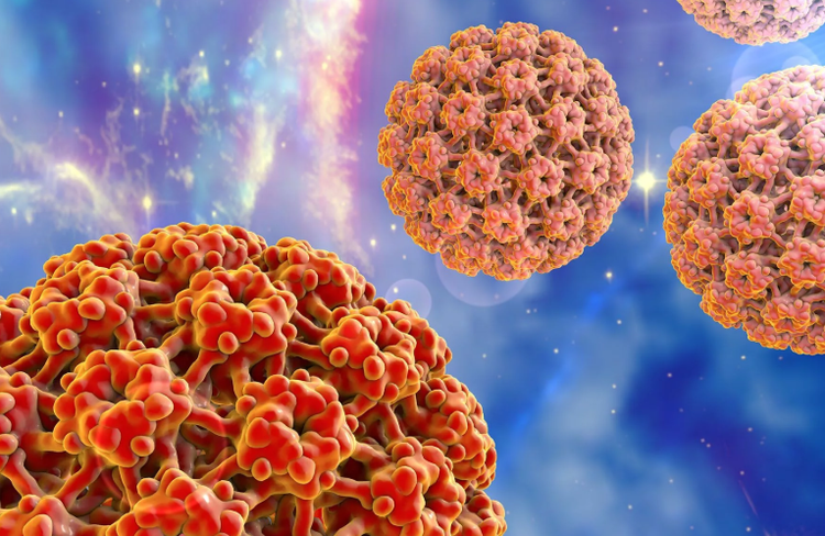 Virus del papiloma humano