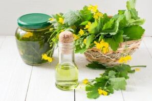 Infusiones y hierba